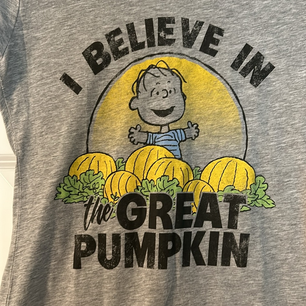 Peanuts Great Pumpkin short sleeve T-Shirt size Small - Picture 2 of 4